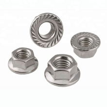 Stainless Steel Hex/Hexagon Flange Nut DIN6923